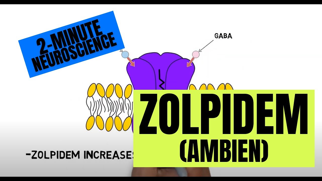 2-Minute Neuroscience: Zolpidem (Ambien)
