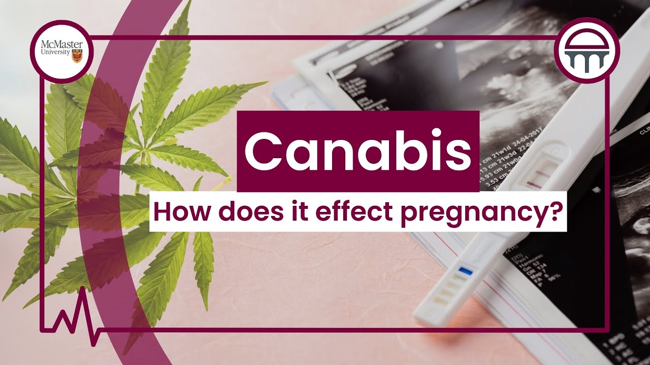 What Effect Does Cannabis Use Have During Pregnancy?