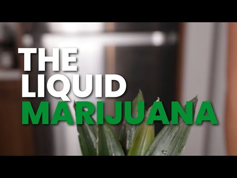 Liquid Marijuana