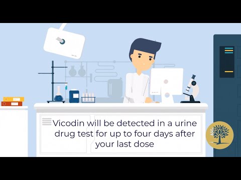 How Long Does Vicodin Stay In Your System? - The Recovery Village Ridgefield
