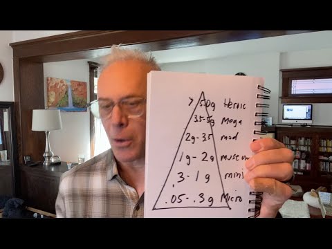 Dosage Levels of Psilocybin Magic Mushrooms
