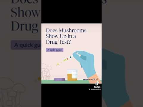 Does Mushrooms Show Up in a Drug Test?