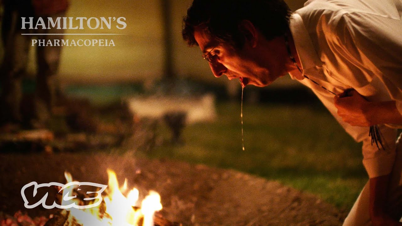Hamilton Morris Spews After Taking Peyote | HAMILTON'S PHARMACOPEIA
