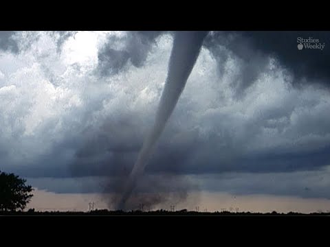 Los Tornados (Español)
