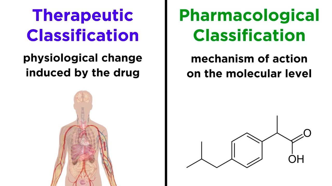 Categorizing Drugs: Classes, Names, and Schedules
