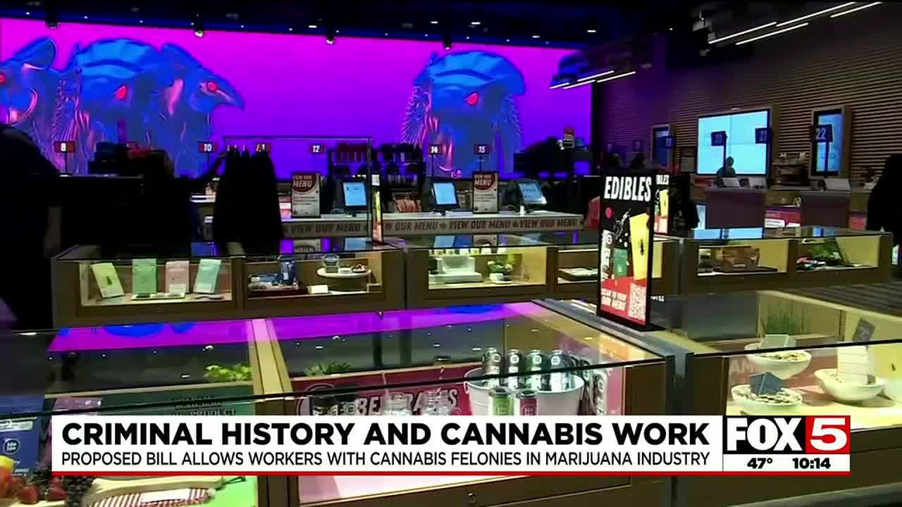 Proposed Nevada bill could expand worker access in cannabis industry to those with felonies