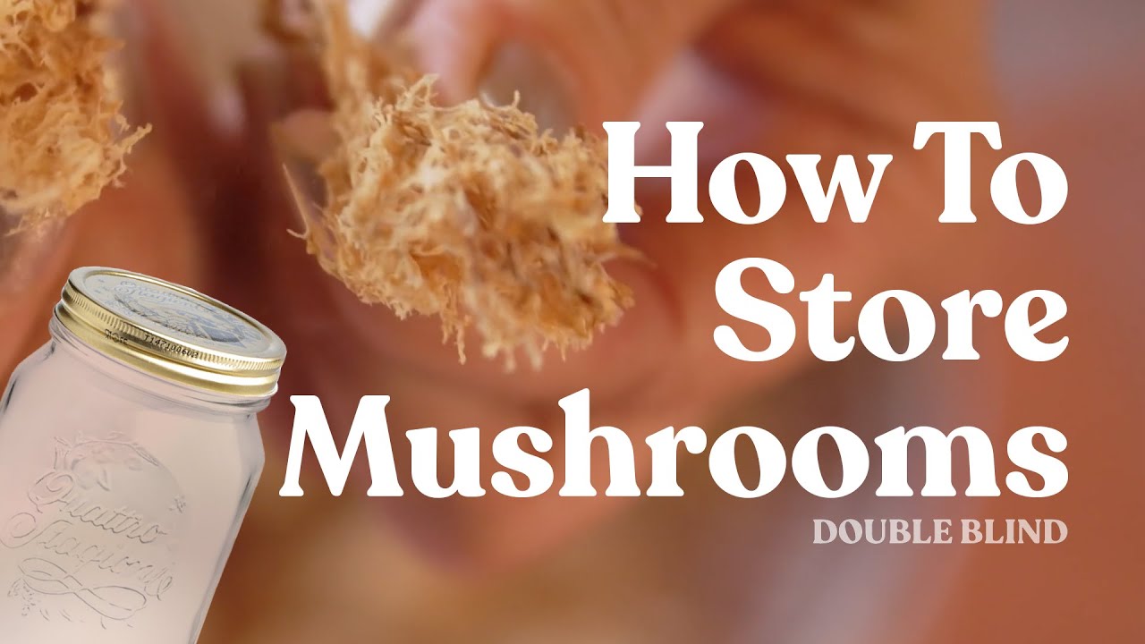 How to Store Mushrooms | DoubleBlind