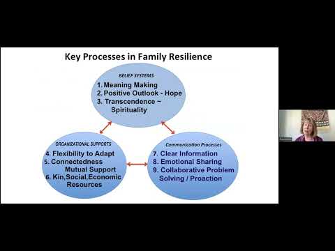 Family Resilience and Life Course Interventions