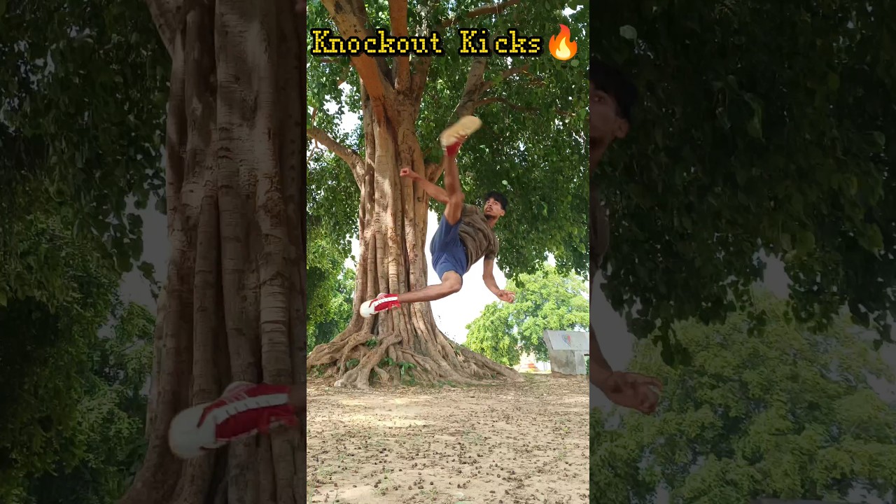 Knockout Kicks🔥🥋🔥 #taekwondo #karate #trick #training #fighting #mma #kungfu #speed #power #shorts