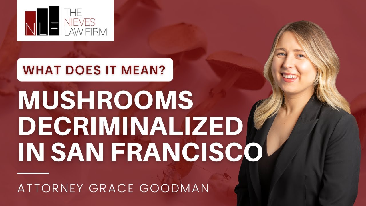 The Decriminalization of Psilocybin Mushrooms in San Francisco | San Francisco Drug Attorneys