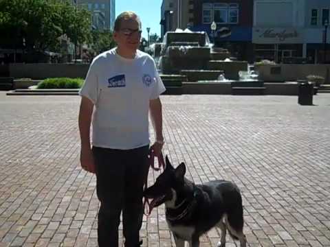 Friends of the Poor - Walk Tour - Springfield, Missouri