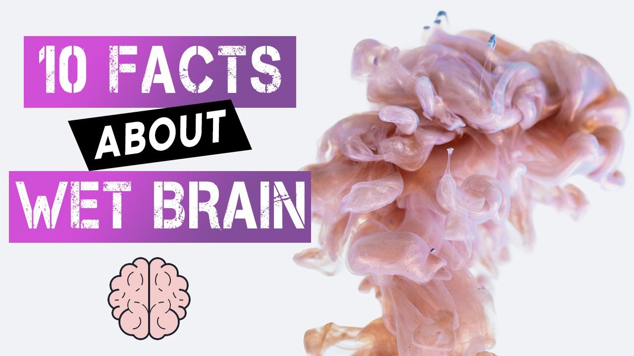 Wet Brain Syndrome - 10 Facts