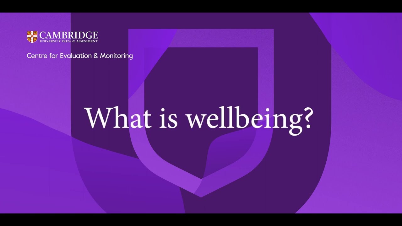 What is wellbeing?