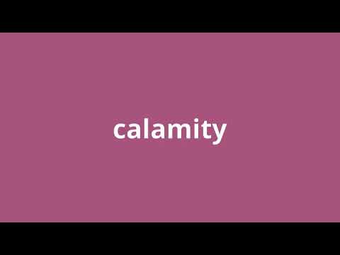 what is the meaning of calamity