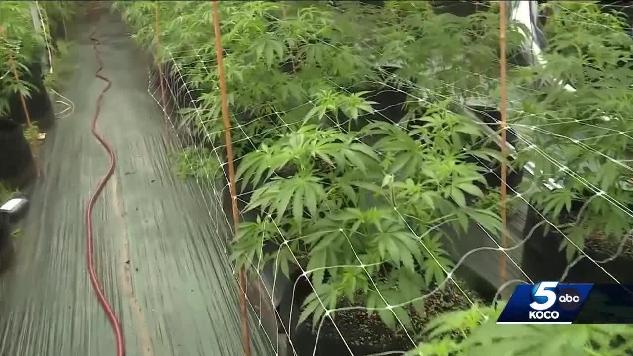 Nearly two dozen new bills targeting medical marijuana in Oklahoma