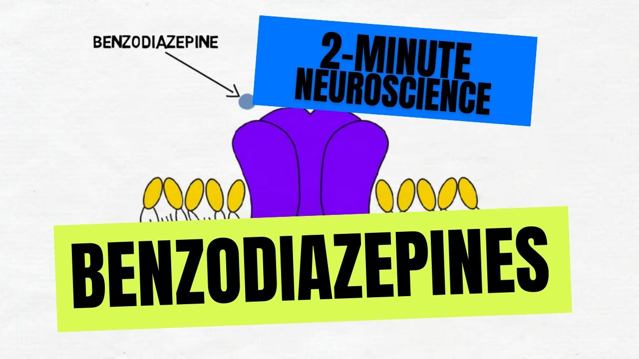 2-Minute Neuroscience: Benzodiazepines