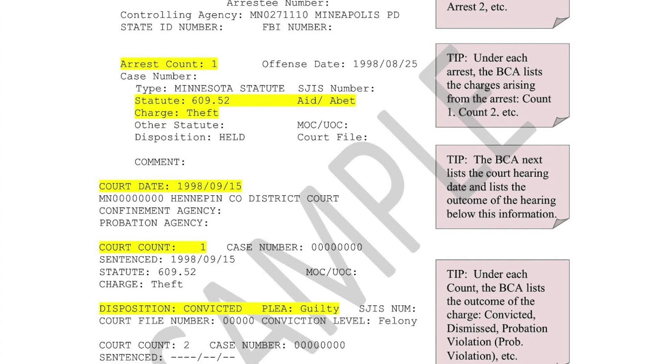 How to Read your Minnesota Criminal History