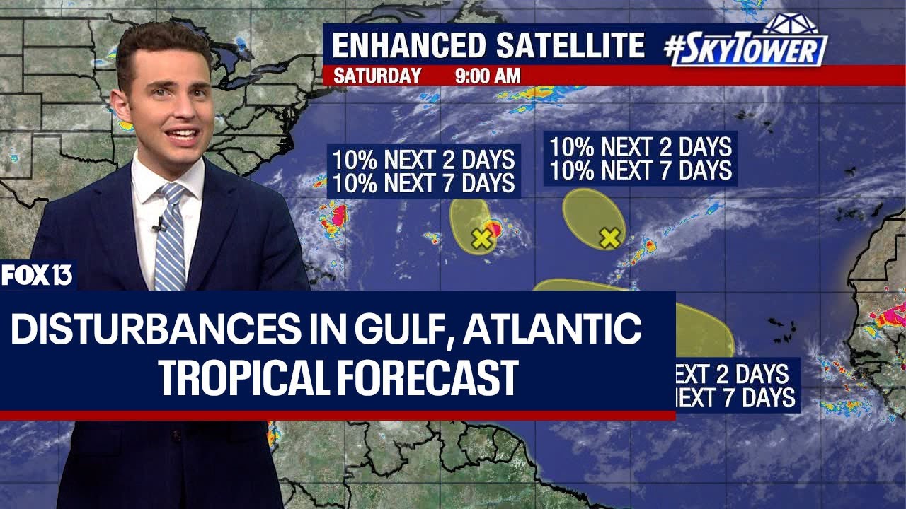 Tropical storm, hurricane could form next week