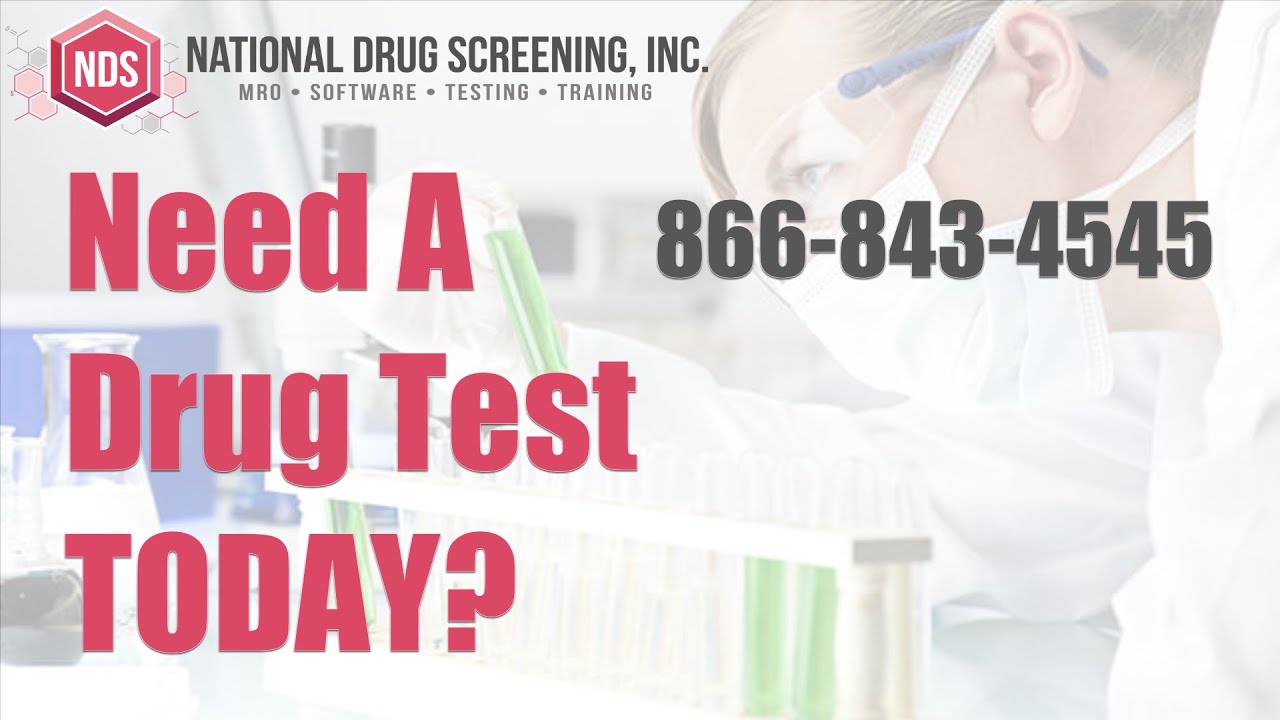 Drug Screening Test US Locations | Same Day Drug Test