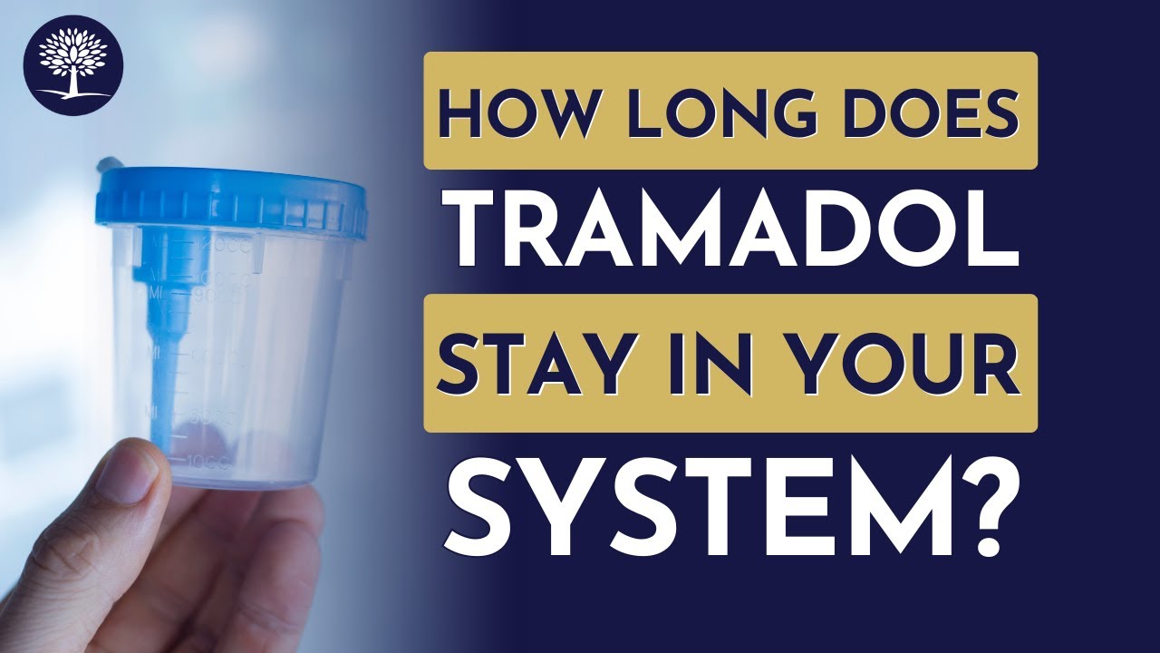 How Long Does Tramadol Stay in Your System? - The Recovery Village #DrugUse #DrugFacts