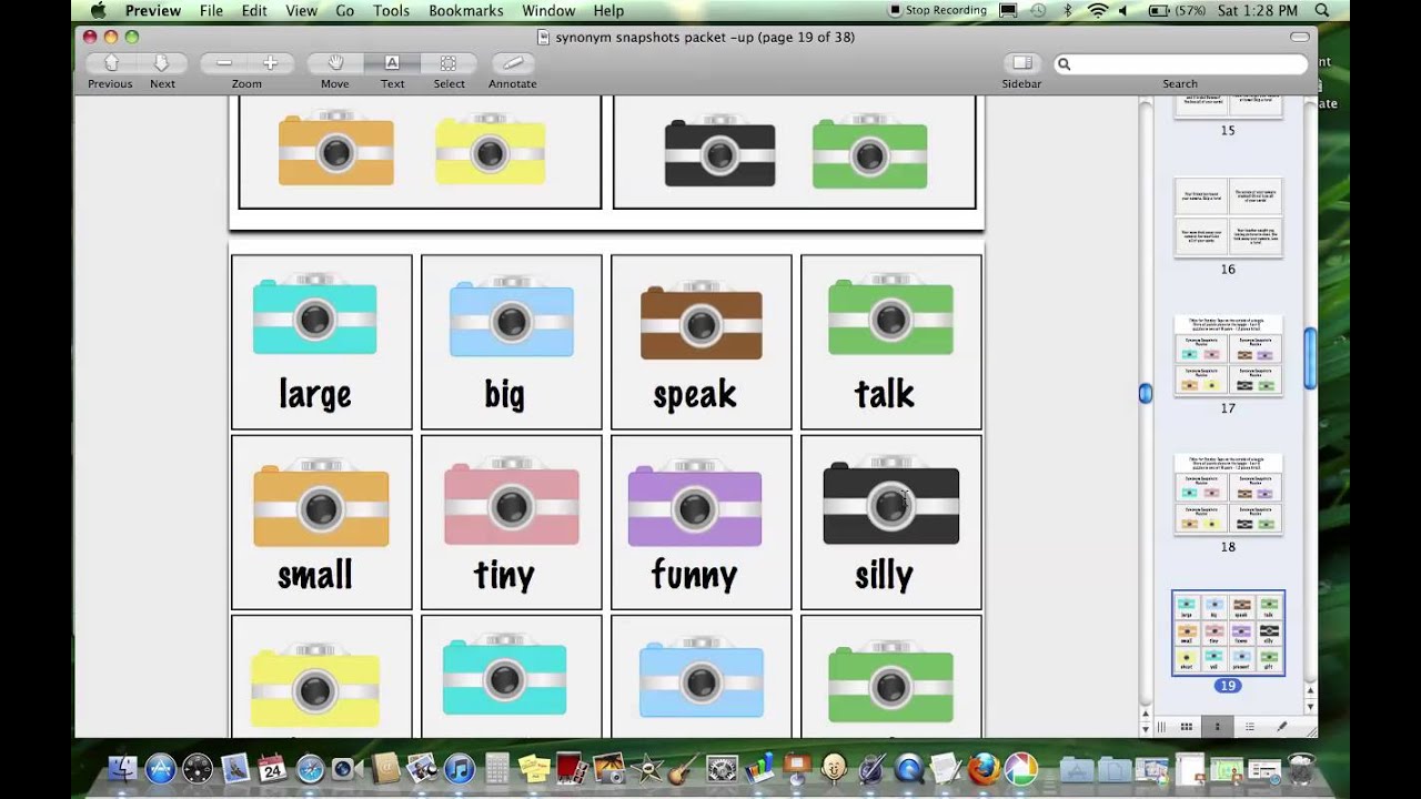 Product Preview - Synonym Snaphshots