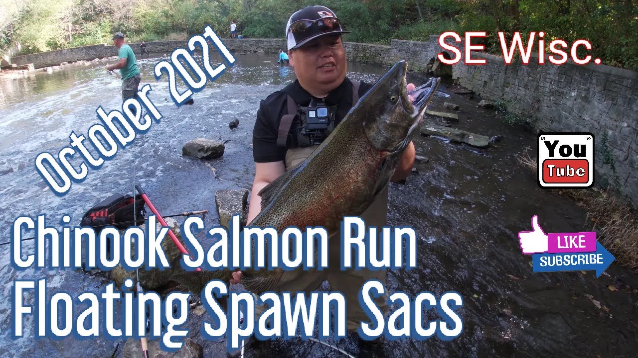 Chinook Salmon Adventures Takes Us to South Milwaukee for the Salmon Run | Oak Creek | Grant Park