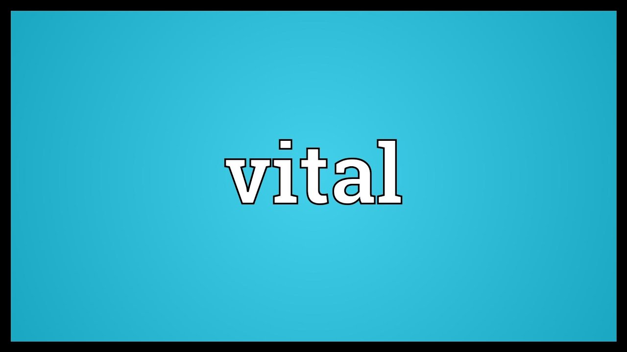 Vital Meaning