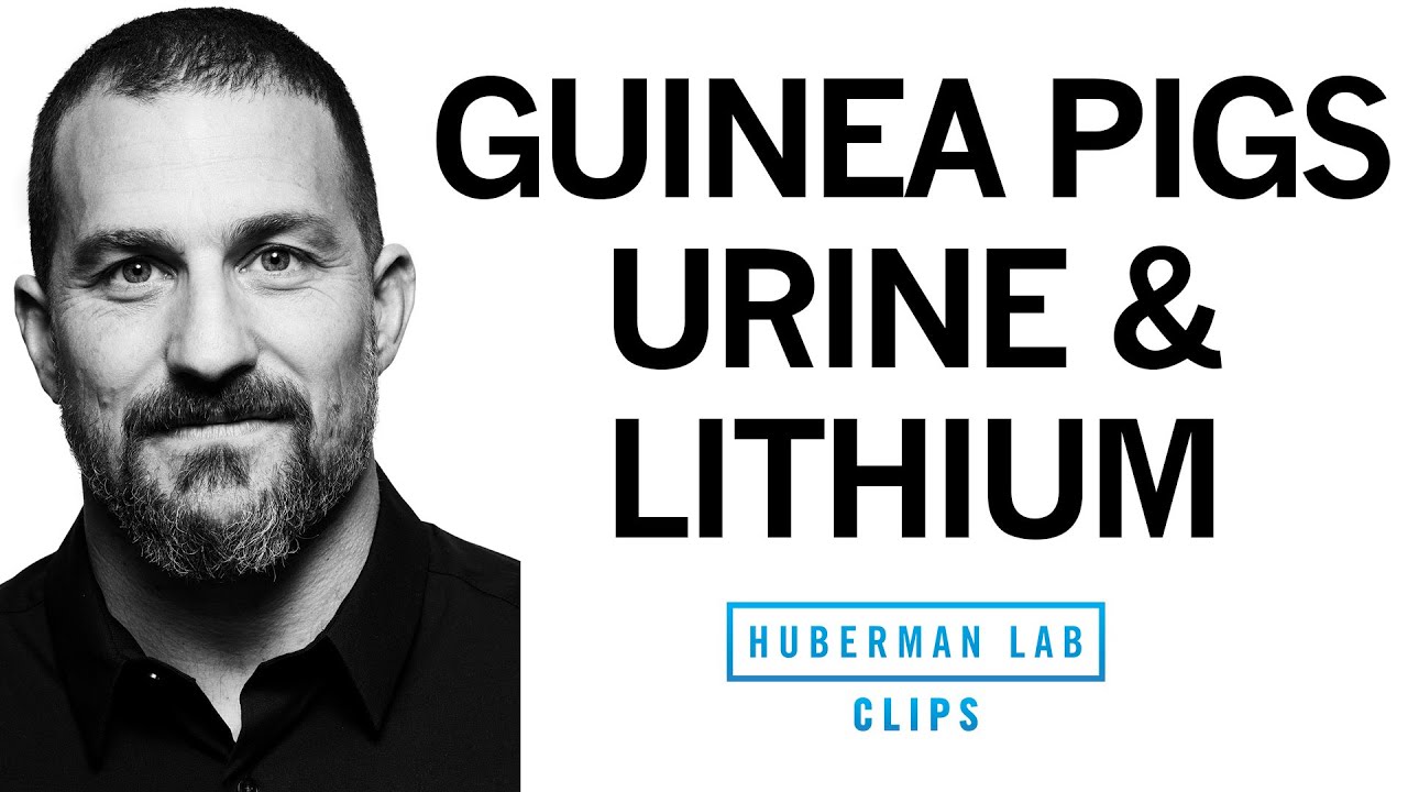 What's the History of Lithium? How Does It Treat Bipolar Disorder? | Dr. Andrew Huberman