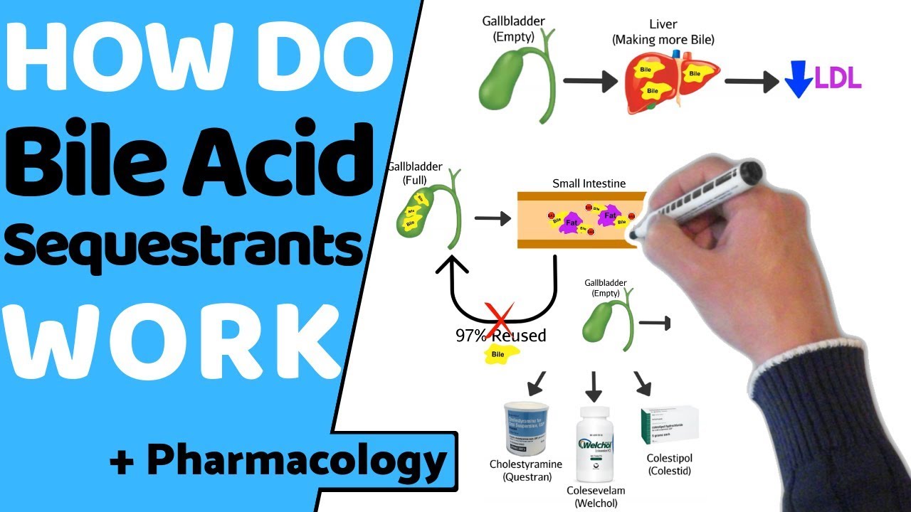 How do Bile Acid Sequestrants Work? (+ Pharmacology)