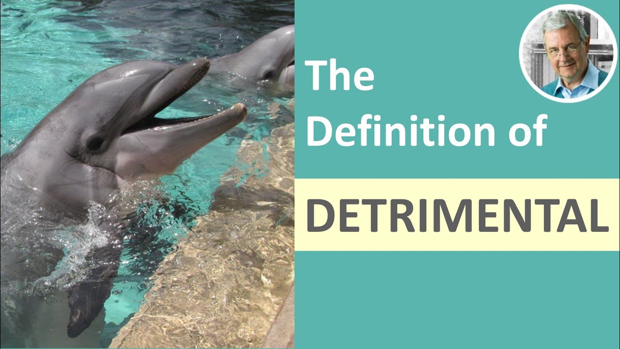 What is the Definition of DETRIMENTAL? (Illustrated Example)