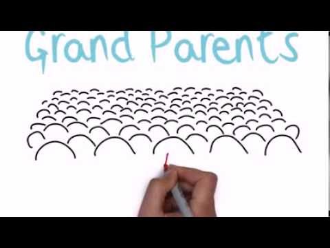 Grandparents Raising Grandchildren: The Facts