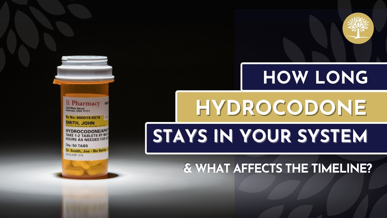 How Long Does Hydrocodone Stay in Your System? - The Recovery Village Ridgefield