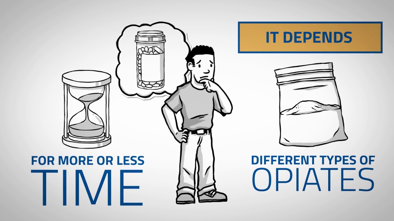 How Long Do Opiates Stay in Your System? (Urine, Blood, Saliva, Hair)