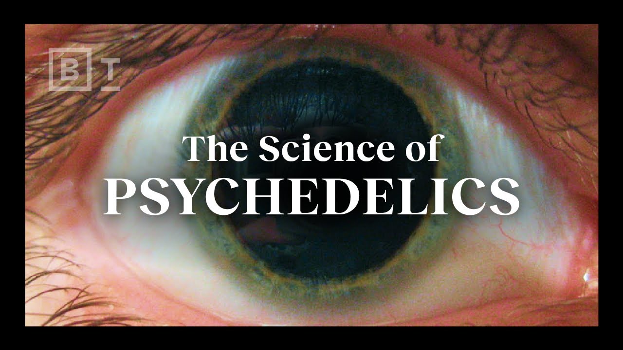 How psychedelics work, explained in under 6 minutes | Matthew Johnson