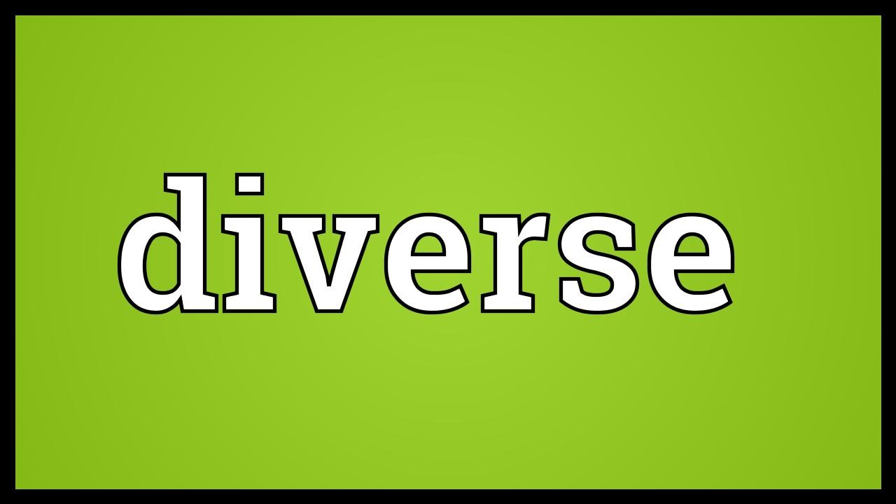 Diverse Meaning