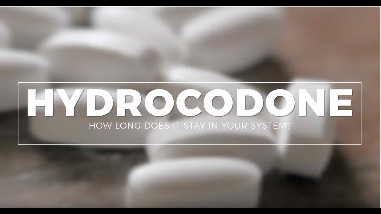 How long does Hydrocodone stay in your system? #Drugtest #Urinetest