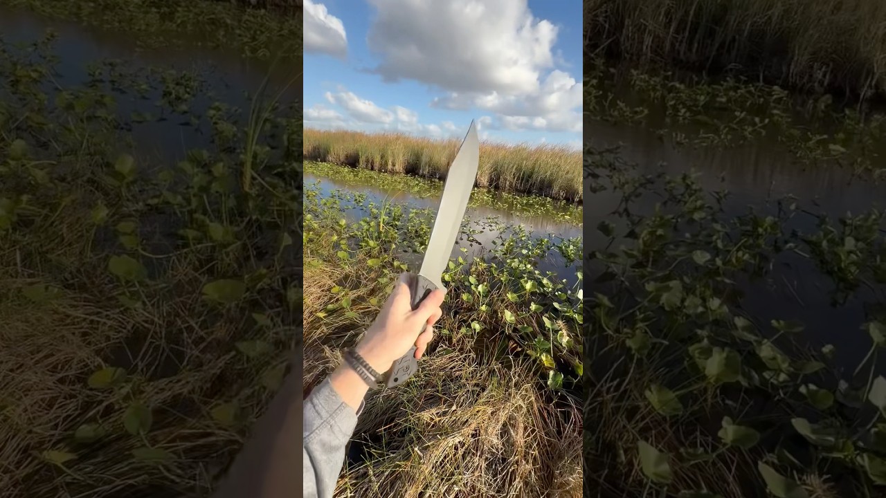 A Breif Channel Update🎥🎬 @NatureHunter101 @EngineHunter101