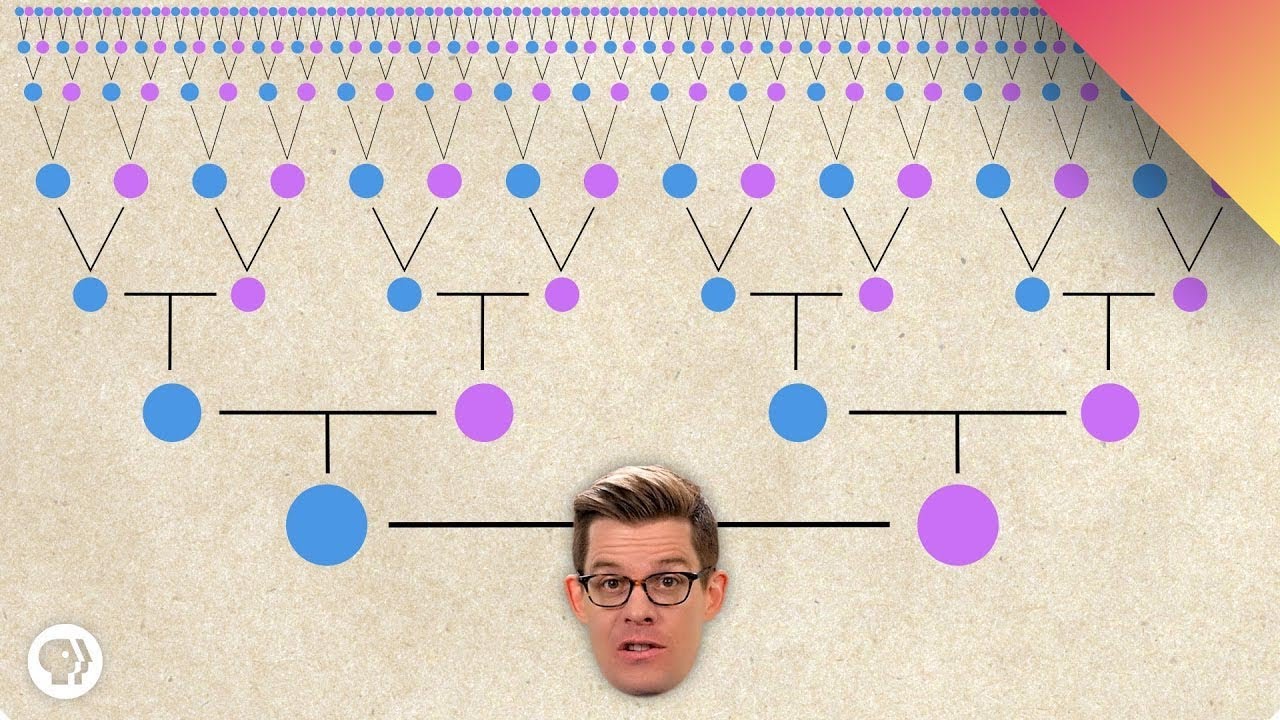 Are We All Related?