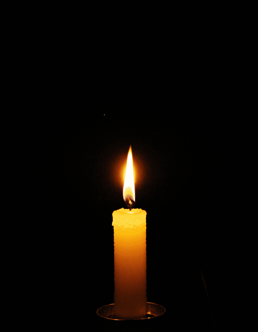 Image 25724