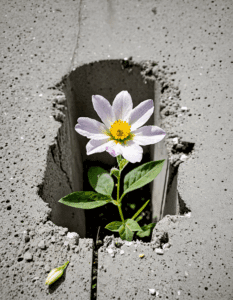 define resilience