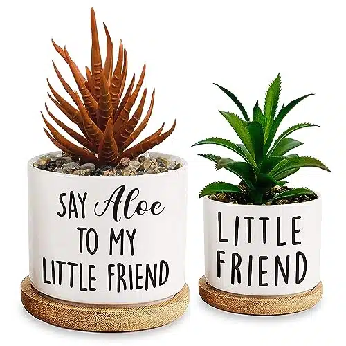 Msyueos Say Aloe to My Little Friend, Funny Ceramic Succulent Planter Pots with Bamboo Tray Set of , for Office Home Windowsill Gift (Including Simulation Succulents