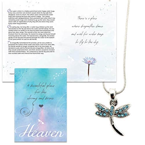 Smiling Wisdom   Girl's Heaven Dragonfly Story Gift Greeting Card and Dainty Dragonfly Necklace Gift Set   Loss, Grief, Explanation of Heaven & Earth   Child Woman   Blue