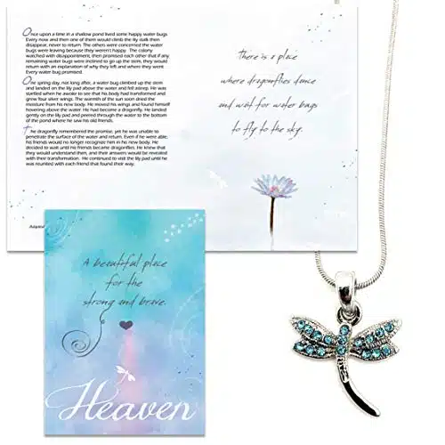 Smiling Wisdom   Girl's Heaven Dragonfly Story Gift Greeting Card and Dainty Dragonfly Necklace Gift Set   Loss, Grief, Explanation of Heaven & Earth   Child Woman   Blue