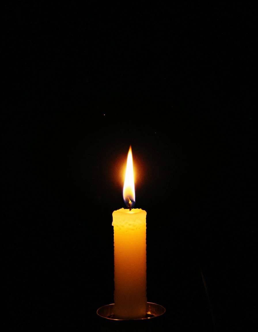Image 25724