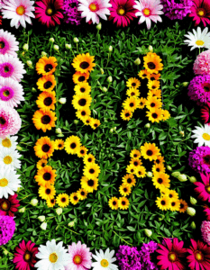 ia abbreviation